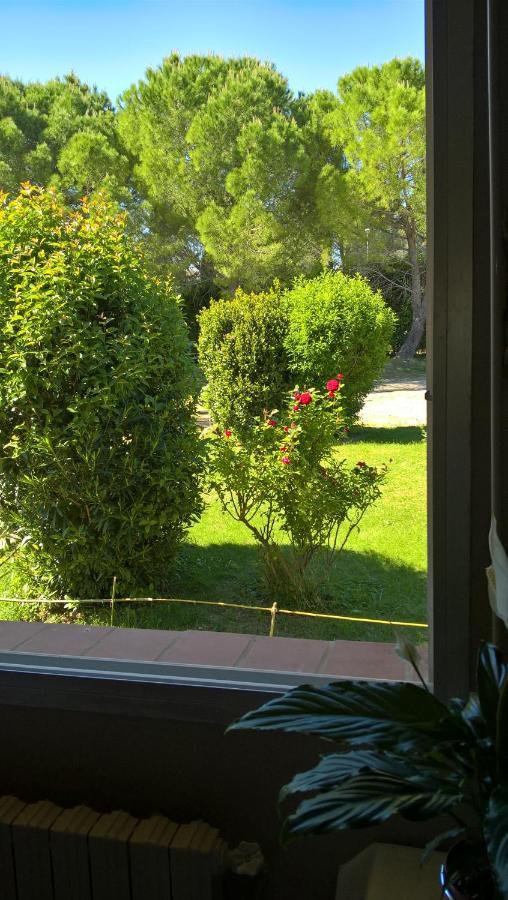 Bed and Breakfast Chez Naomi Saint-Jean-de-Cornies Екстер'єр фото